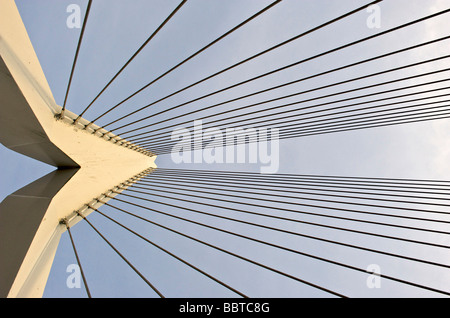 The Erasmus bridge as replicated in Madurodam Stock Photo