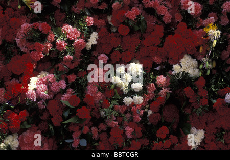 Valencia carnations decorating the large wooden replica of Our Lady of the Abandoned or Nuestra Senora de los Despamparados Stock Photo
