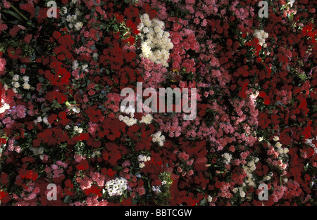 Valencia carnations decorating the large wooden replica of Our Lady of the Abandoned or Nuestra Senora de los Despamparados Stock Photo