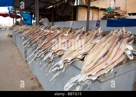 Fish market, Al Mukalla, Yemen, Middle East Stock Photo