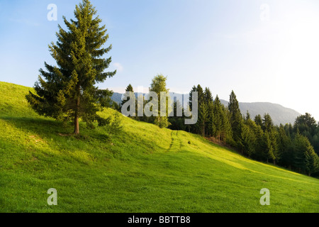 Alps morning landscape On a hill Stock Photo