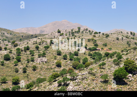 Lasithi Plateau, Eastern Crete, Greece, Europe Stock Photo