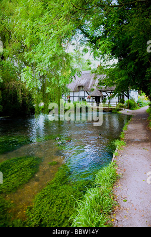 Timber framed thatched country cottage with bridge over river arle, ducks, trees, walkway. Stock Photo