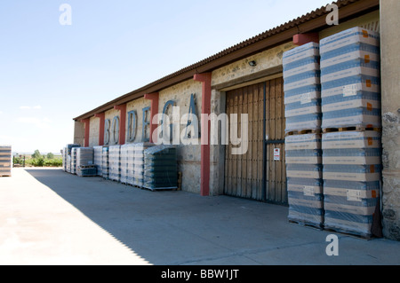 Liberalia winegrowing farm in the Toro region in Spain Stock Photo