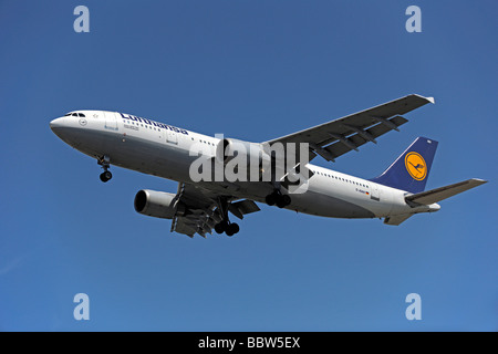 Airbus A 300 600 of the airline Lufthansa Stock Photo