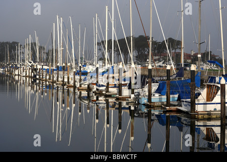 Sailing boats moored in San Francisco Harbour USA Stock Photo