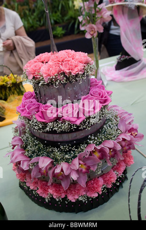 Orchid floral displays on exhibition Stock Photo