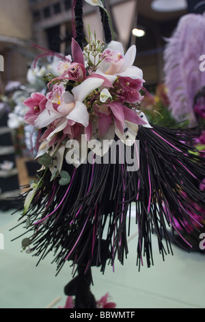 Orchid floral displays on exhibition Stock Photo