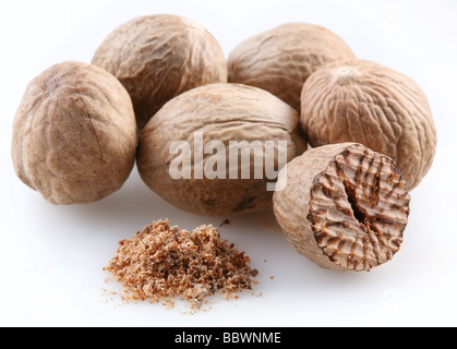 Nutmeg on a white background Stock Photo