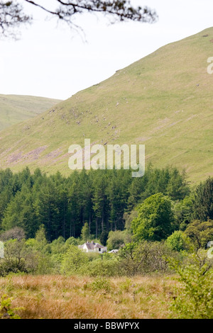 Ettrick Marshes - Owned by The Forestry Commision and run by the Borders Forest Trust to conserve floodplain habitats Stock Photo