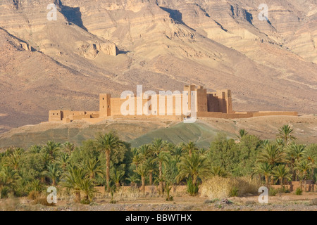 Kasbah of Tamnougalt and Jebel Kissane in the Anti Atlas in the Draa Valley in Morocco North Africa Stock Photo