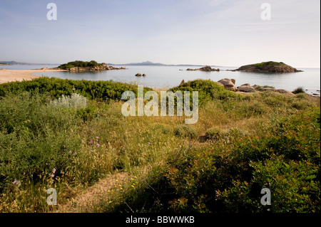 Verdant pathway to a secluded beach north of Tanca Manna Sardinia Stock Photo