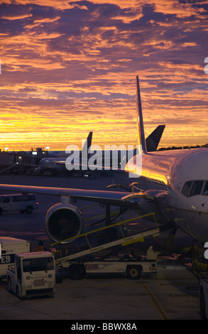 Airliners at terminal, sunrise, Houston International Airport Stock Photo