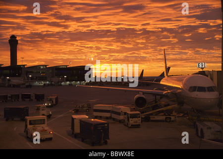 Airliners at terminal, sunrise, Houston International Airport Stock Photo
