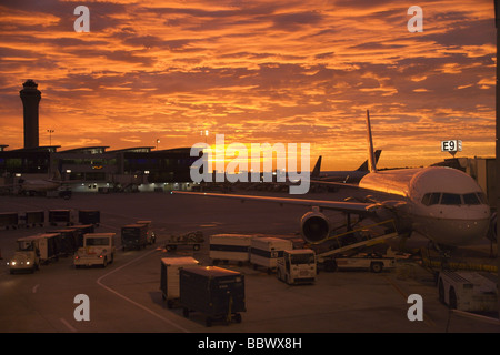 Airliners at terminal, sunrise, Houston International Airport Stock Photo