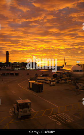 Airliners at terminal, sunrise, Houston International Airport Stock Photo