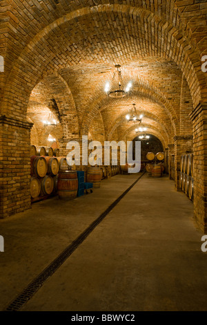 Cask storage in the underground wine cellars under the Castello di Amorosa in the Napa Valley, California. Stock Photo