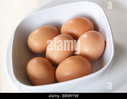SIx brown eggs nestled in a white dish Stock Photo