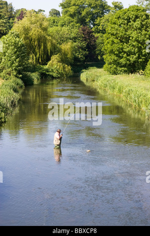 Fly fisherman catching trout in river Stock Photo