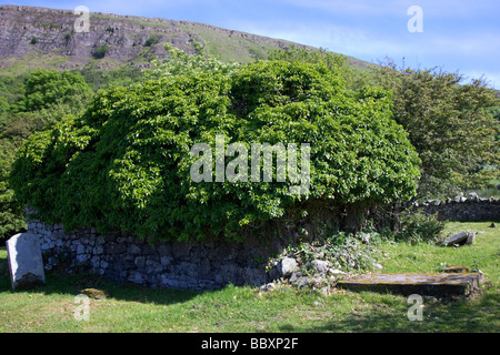 ardclinis old church and graveyard county antrim northern ireland uk Stock Photo