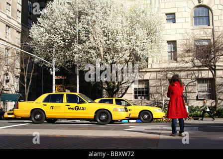 yellow cabs on 5th Av in front of Metropolitan Museum of art Stock Photo