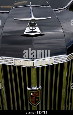 Ford V8 Pilot 3.6 Litres Motor Car Grill Detail Stock Photo