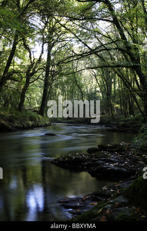 River Camel, Dunmere Stock Photo