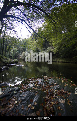 River Camel, Dunmere Stock Photo