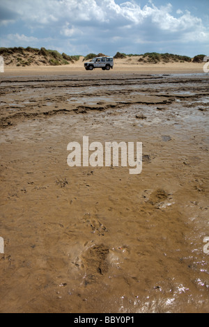 Ancient footprints in silt layers at Formby Stock Photo