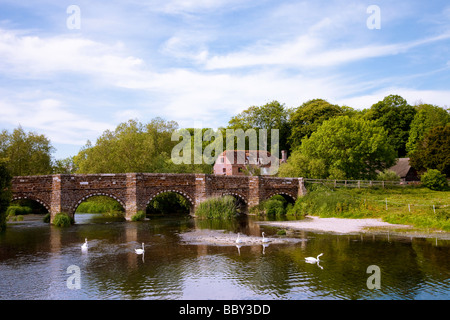 Bridge with White Mill in background with swans reflections from trees, with blue sky and fluffy clouds on summer's day, Dorset Stock Photo