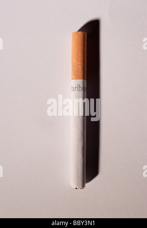 A Filtered Cigarette on a light background. In 2009 the U.S. Senate began debate allowing the U.S. FDA to regulate cigarettes Stock Photo