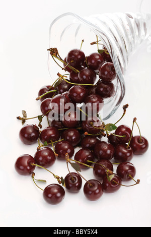 Sour cherries Stock Photo