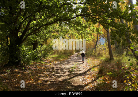 Small Boy Walking On Track Through Autumn Trees by Lake Burley Griffin Canberra ACT Australia Stock Photo