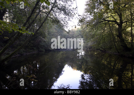 River Camel, Dunmere Stock Photo