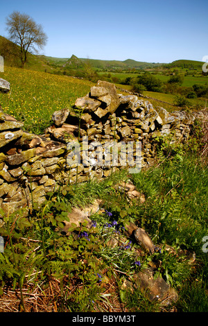 Chrome hill,Parkhouse hill,Hitter hill,Peak district National park,from footpath above Hollinsclough,Staffordshire,England,UK Stock Photo