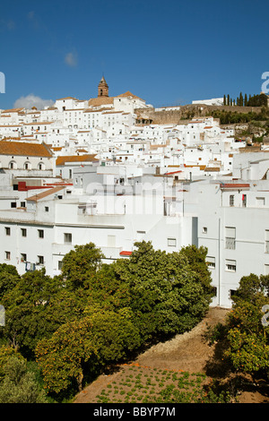 Alcalá de los Gazules white village of the Sierra de Cadiz Andalusia Spain Stock Photo