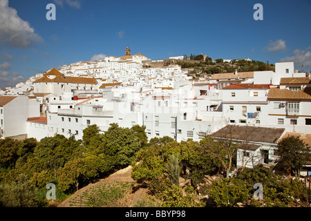 Alcalá de los Gazules white village of the Sierra de Cadiz Andalusia Spain Stock Photo