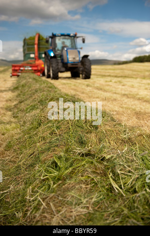 looking up a row of grass towards a tractor pulling a forage harvester and trailer making silage for livestock Stock Photo