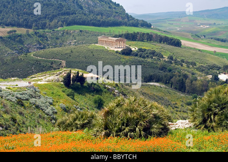 Ancient Greek Doric temple, Segesta, archaeological site, Sicily, Italy Ancient Greek Doric temple, Segesta, archaeological site, Sicily, Italy