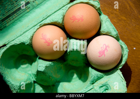 Eggs in a carton showing Lion Maek Stock Photo