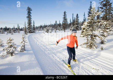 A young woman cross-country skiing. Stock Photo