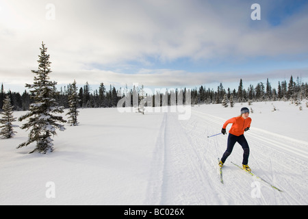 A young woman cross-country skiing. Stock Photo