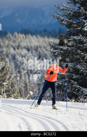 A young woman cross-country skiing. Stock Photo