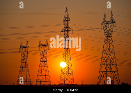 Power transmission towers at sunset, Manitoba, Canada. Stock Photo