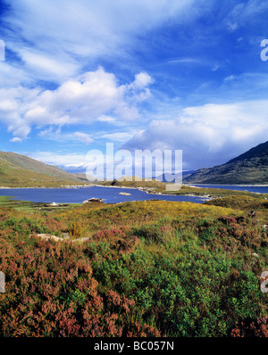 Heather surrounds Loch Cluanie in the North West Highlands in Scotland Stock Photo