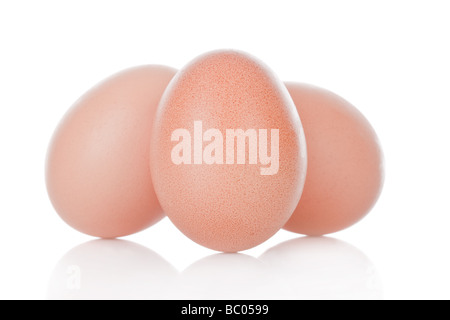Three brown chicken eggs isolated on white background Stock Photo