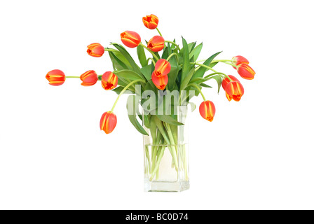Bunch of tulips in a vase Stock Photo