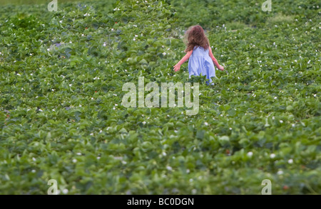 Young girl walking through strawberry plants Stock Photo