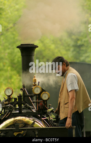 Steam train on the Teifi Valley railway Ceredigion West Wales UK Stock Photo