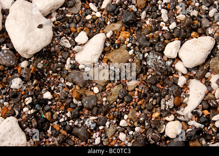 Chalk and flint stones and shells on a beach Stock Photo